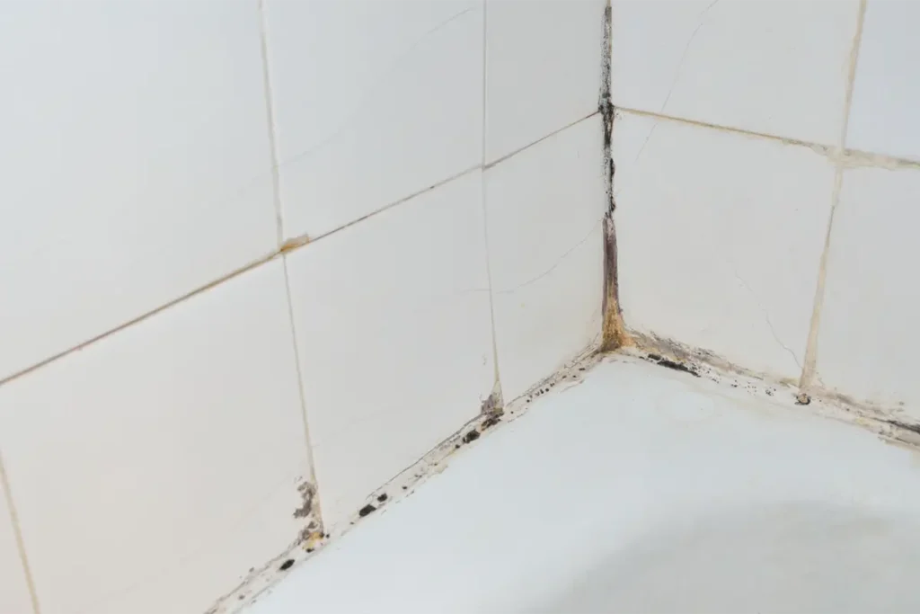Previeni o elimina la muffa in bagno prima che si diffonda, causando problemi di estetica e di salubrità dell'ambiente domestico.