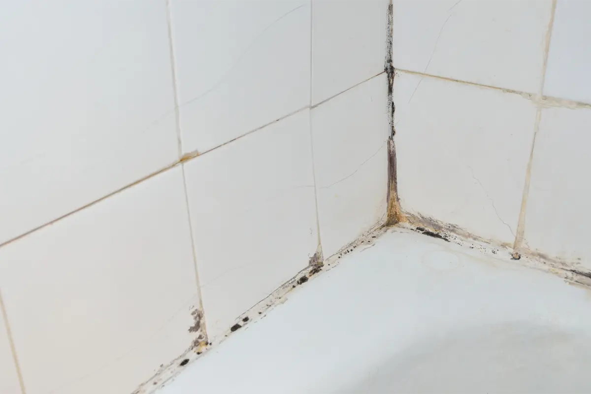 Muffa in bagno: perché si forma e come eliminarla